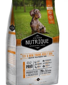 NUTRIQUE TOY MINI YOUNG ADULT DOG