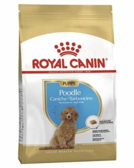 ROYAL CANIN POODLE CANICHE PUPPY