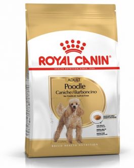 ROYAL CANIN POODLE CANICHE ADULTO