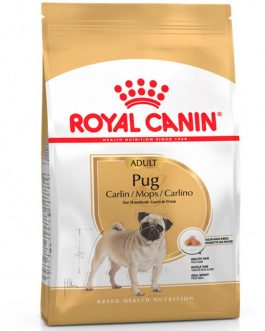 ROYAL CANIN PUG ADULTO