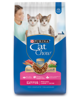 CATCHOW GATITOS