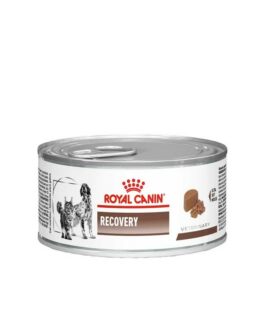 ROYAL CANIN LATA RECOVERY 145G