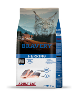 BRAVERY  ADULT CAT HERRING