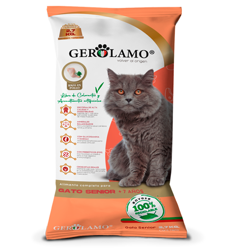 GEROLAMO GATO SENIOR